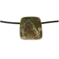 REGENWOUDJASPIS doorboord + koord