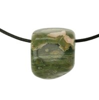 REGENWOUDJASPIS doorboord + koord