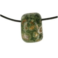 REGENWOUDJASPIS doorboord + koord