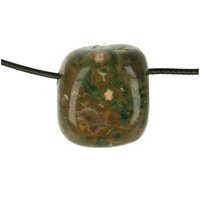 REGENWOUDJASPIS doorboord + koord