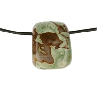 REGENWOUDJASPIS doorboord + koord