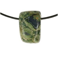 REGENWOUDJASPIS doorboord + koord