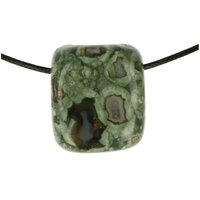 REGENWOUDJASPIS doorboord + koord