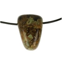 REGENWOUDJASPIS doorboord + koord