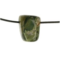 REGENWOUDJASPIS doorboord + koord