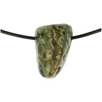 REGENWOUDJASPIS doorboord + koord