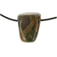 REGENWOUDJASPIS doorboord + koord