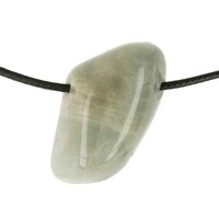 Peristeriet-Zonnesteen uit Uluguru 