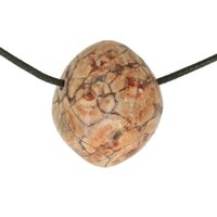 BIRDS EYE RYOLIET doorboord + koord