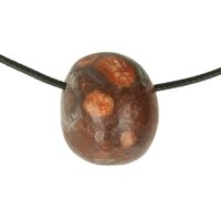 BIRDS EYE RYOLIET doorboord + koord