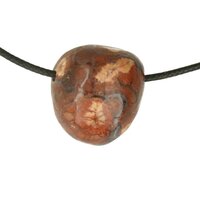 BIRDS EYE RYOLIET doorboord + koord