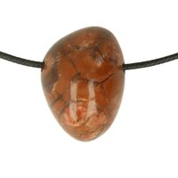 BIRDS EYE RYOLIET doorboord + koord