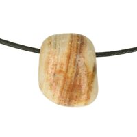 ARAGONIEt doorboord + koord