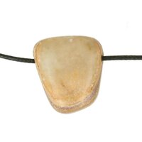 ARAGONIEt doorboord + koord