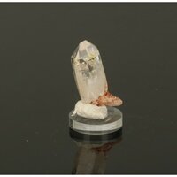 Gouden Enhydro kristal of Petroleumkwarts