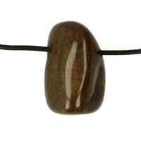 Bronziet-doorboord + koord