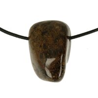 Bronziet-doorboord + koord