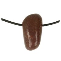 Dinosaurusbot doorboord incl koord