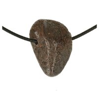 Dinosaurusbot doorboord incl koord