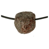 Dinosaurusbot doorboord incl koord