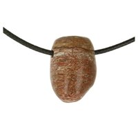 Dinosaurusbot doorboord incl koord