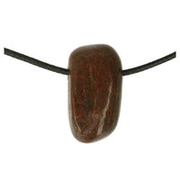 Dinosaurusbot doorboord incl koord