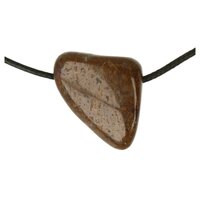 Dinosaurusbot doorboord incl koord