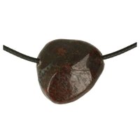 Dinosaurusbot doorboord incl koord