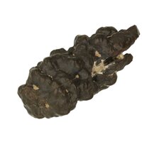 Prophecy Stone (hij of zij die weet, je innerlijke Profeet)