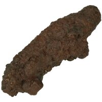 Prophecy Stone (hij of zij die weet, je innerlijke Profeet)