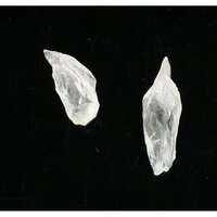 Satya mani kwartsjuweel van de waarheid 2 stuks