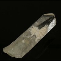 Sterrenkwarts Brazilië