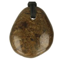 Bronziet-doorboord + koord