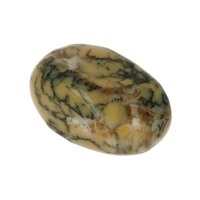 Groene Merliniet uit Brazilië