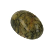 Groene Merliniet uit Brazilië