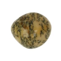 Groene Merliniet uit Brazilië