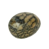 Groene Merliniet uit Brazilië