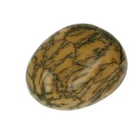 Groene Merliniet uit Brazilië