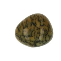 Groene Merliniet uit Brazilië