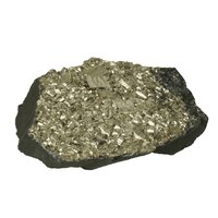 Git met Pyriet, Bahia, Brazilië