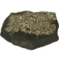 Git met Pyriet, Bahia, Brazilië