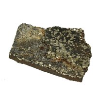 Git met Pyriet, Bahia, Brazilië