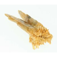 Seleniet gouden uit Australië