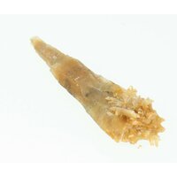 Seleniet gouden uit Australië