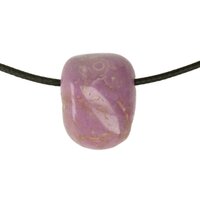 PHOSPHOSIDERIET doorboord