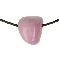 PHOSPHOSIDERIET doorboord