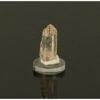 Gouden Enhydro kristal of Petroleumkwarts