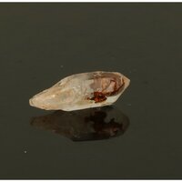 Gouden Enhydro kristal of Petroleumkwarts