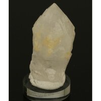 Golden Healer Kaarskwarts uit Goiás, Brazilië (Expand)