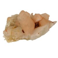 Flamingo Kaarskwarts (Agni, heilig vuur)